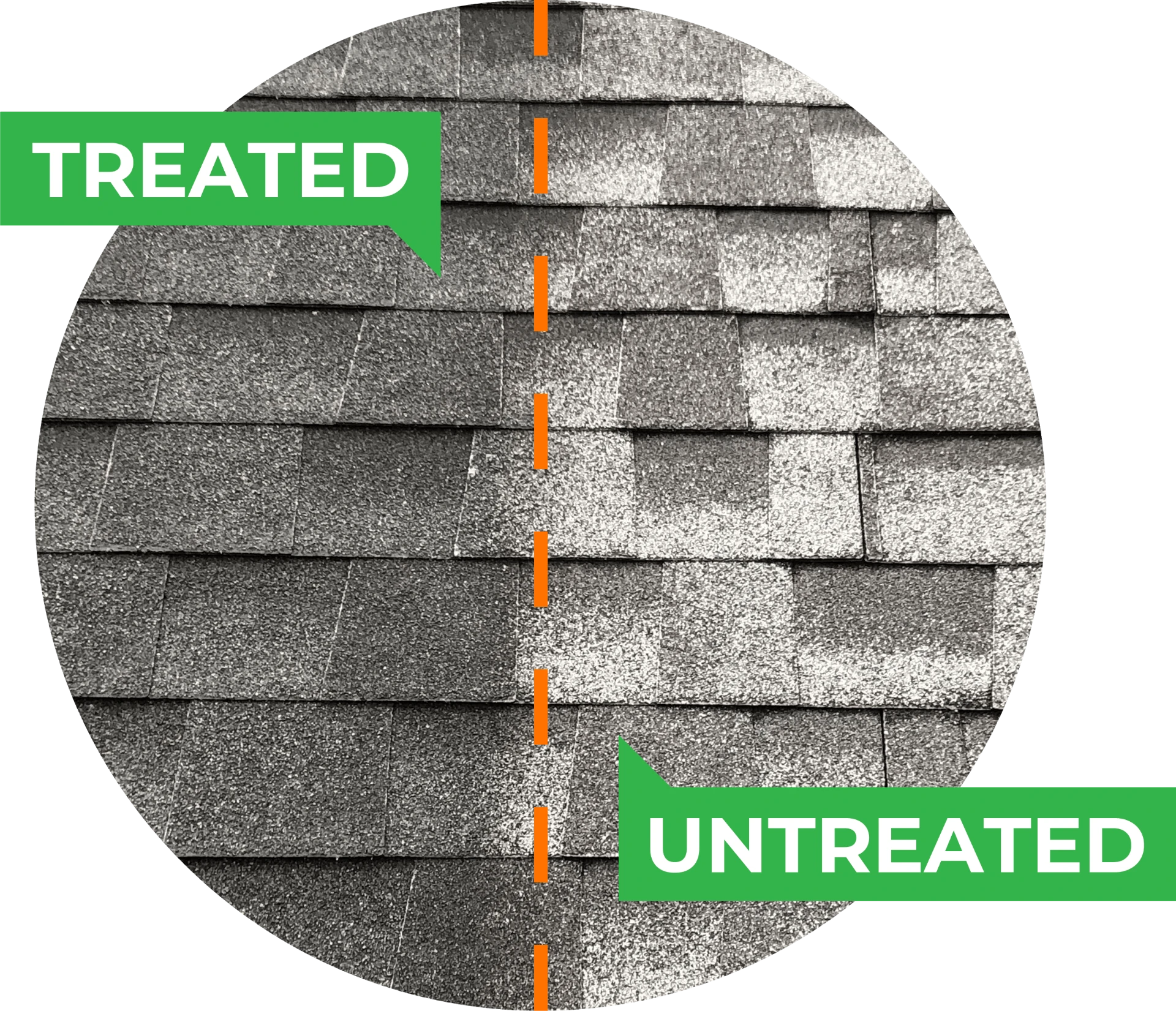 Close-up of treated shingles next to untreated shingles